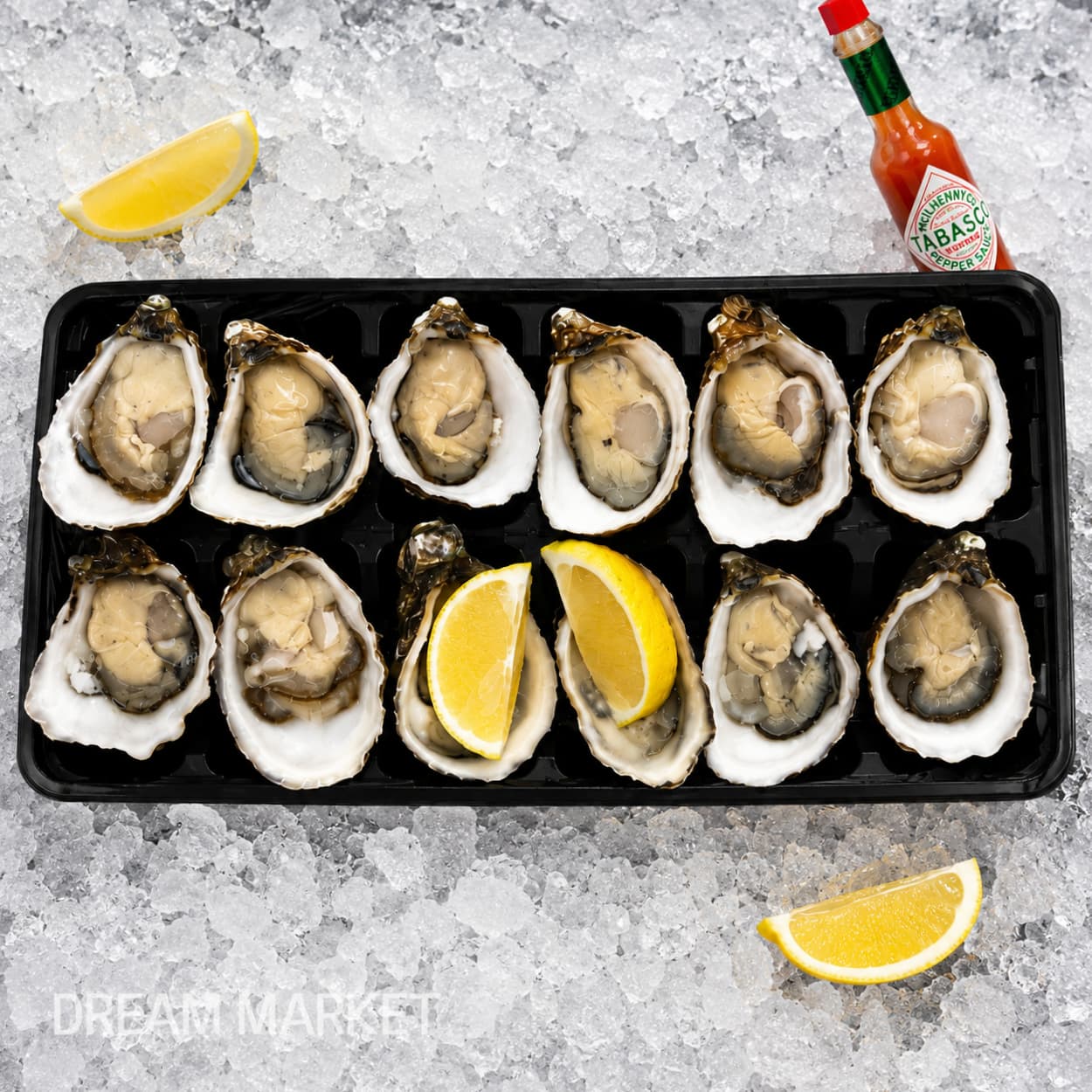 DS Oyster Dozen / (A)