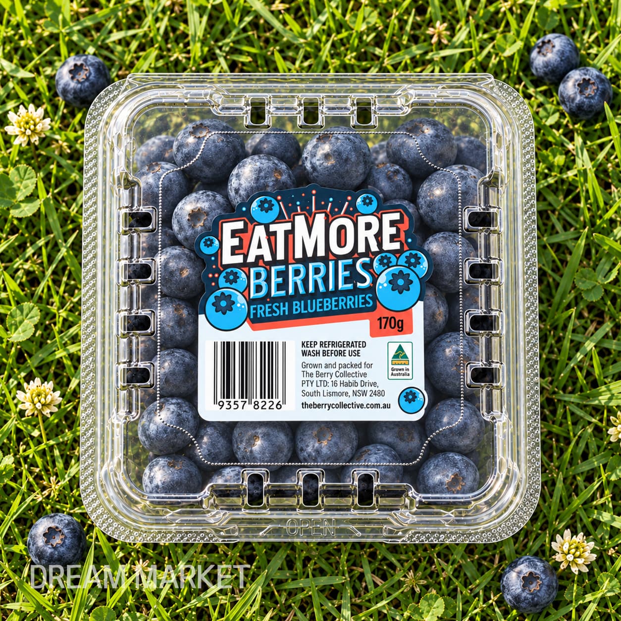 Blueberries 170g