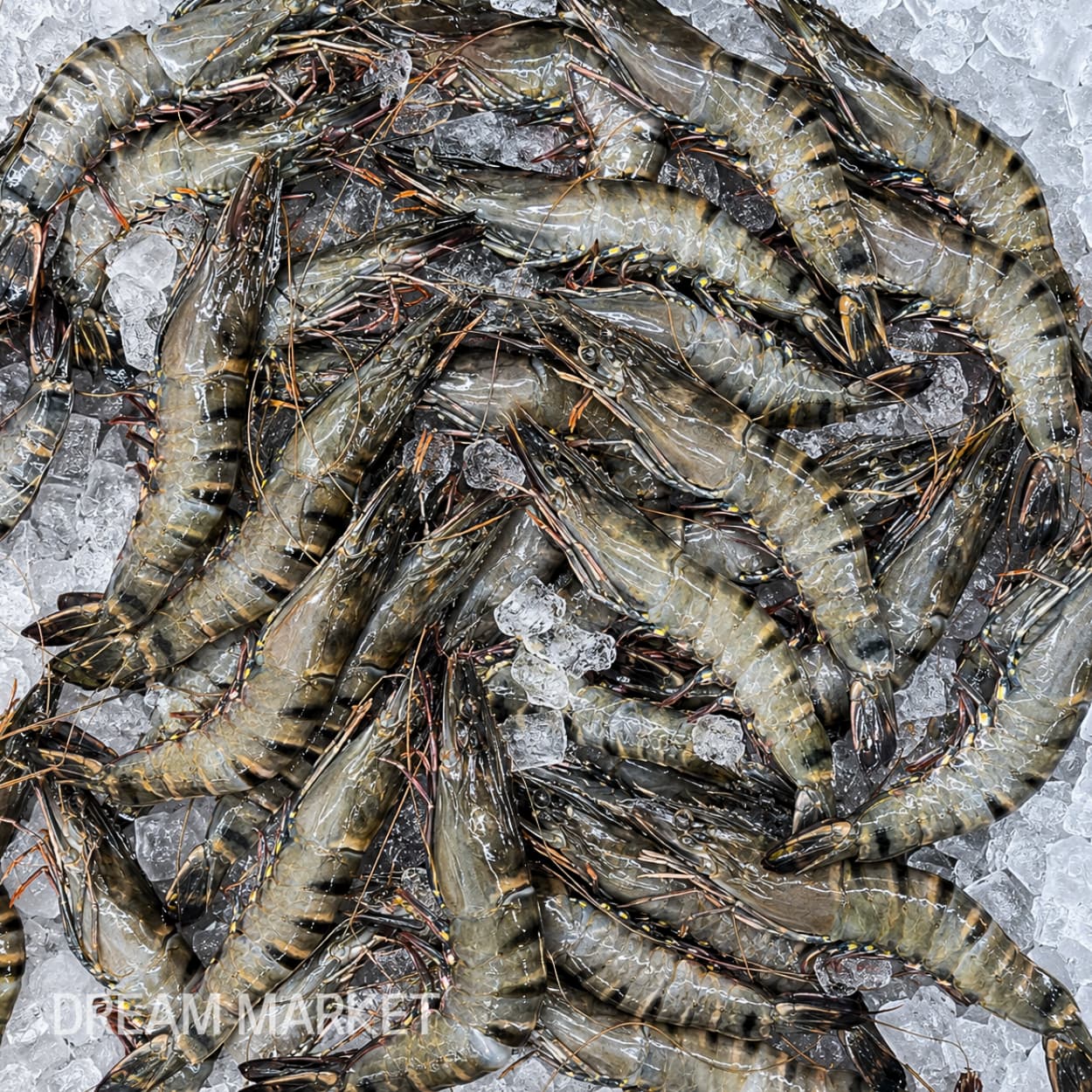 DS Tassel Raw Tiger prawn 10/15 3kg thumbnail 2