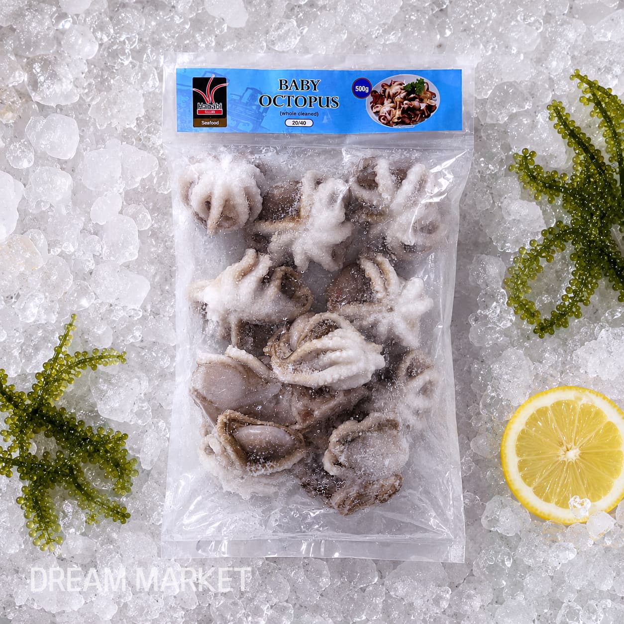 HNB Baby Octopus 20/40 500g