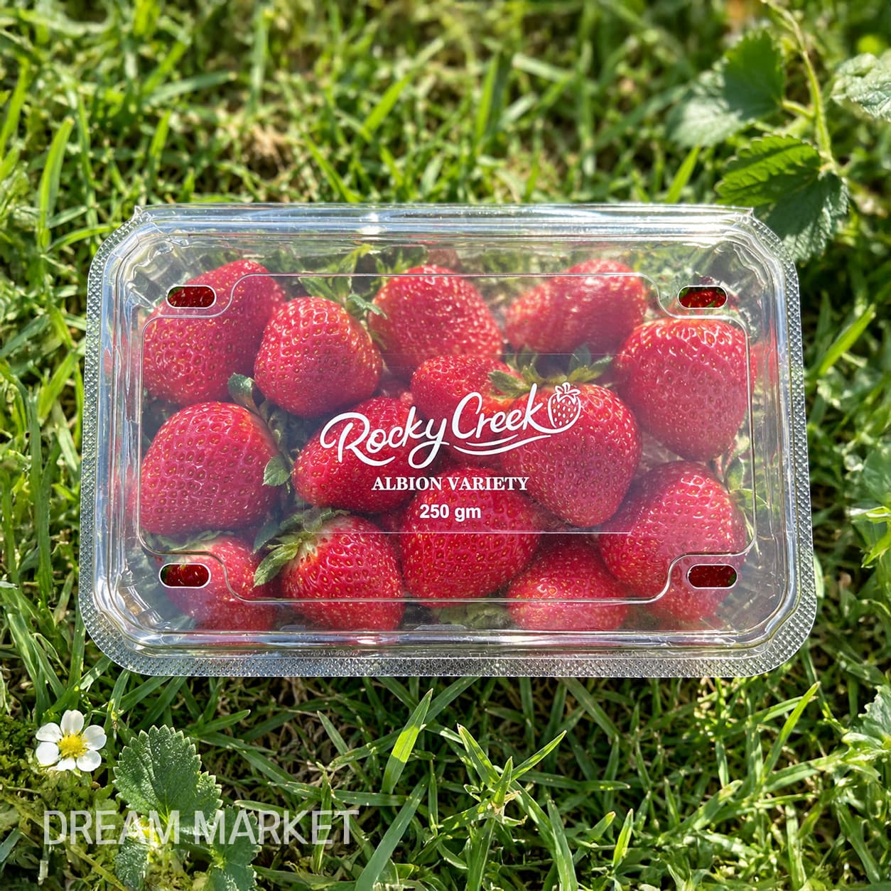 Strawberries 250g