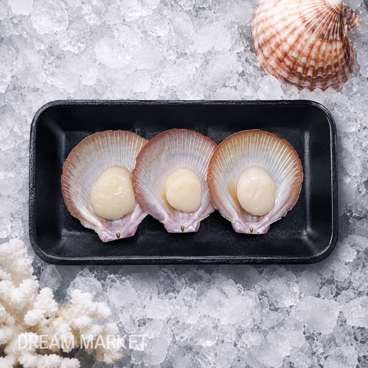 DS QLD Scallops (Thawed) / (A)