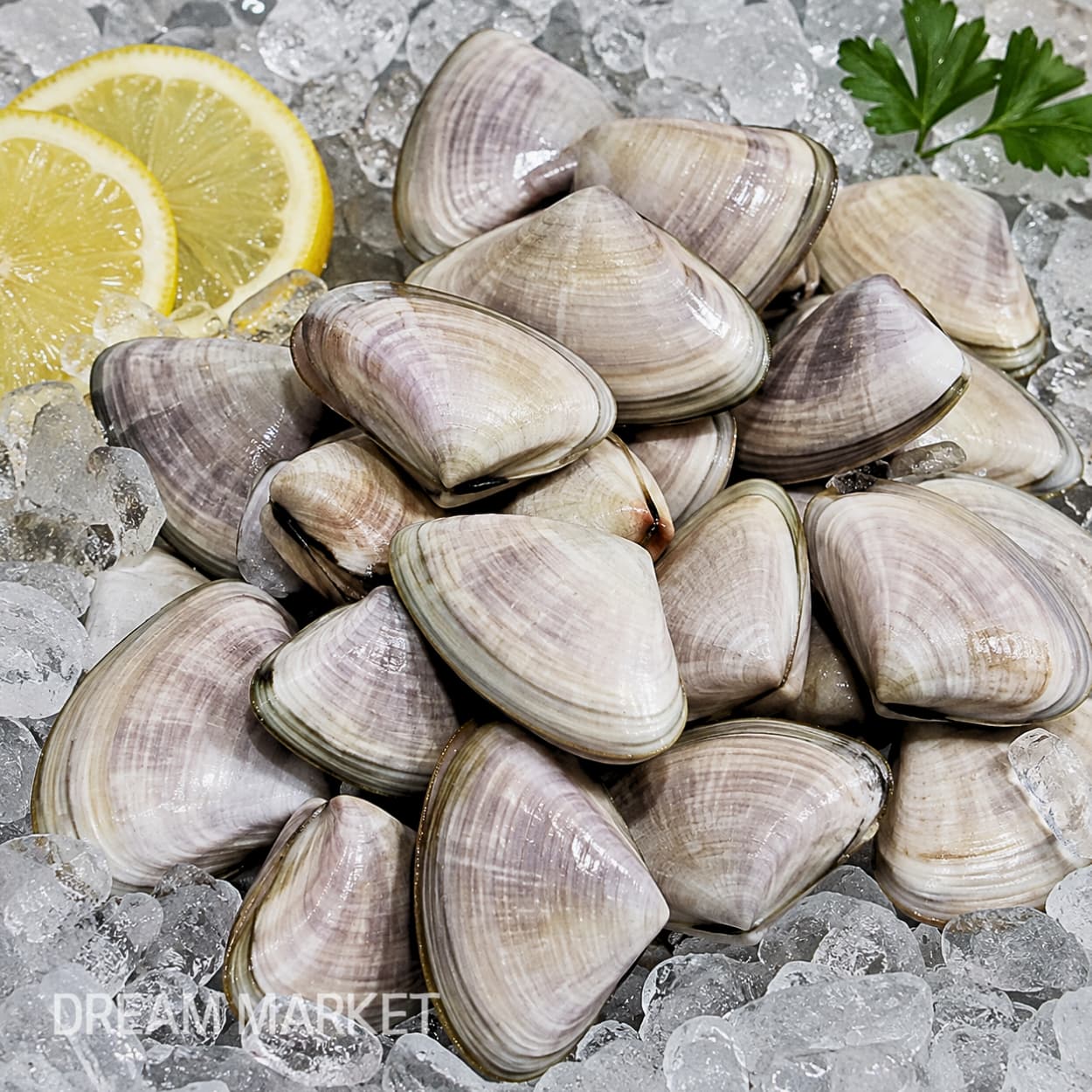 DS Pipi clam(desand)KG/(A)
