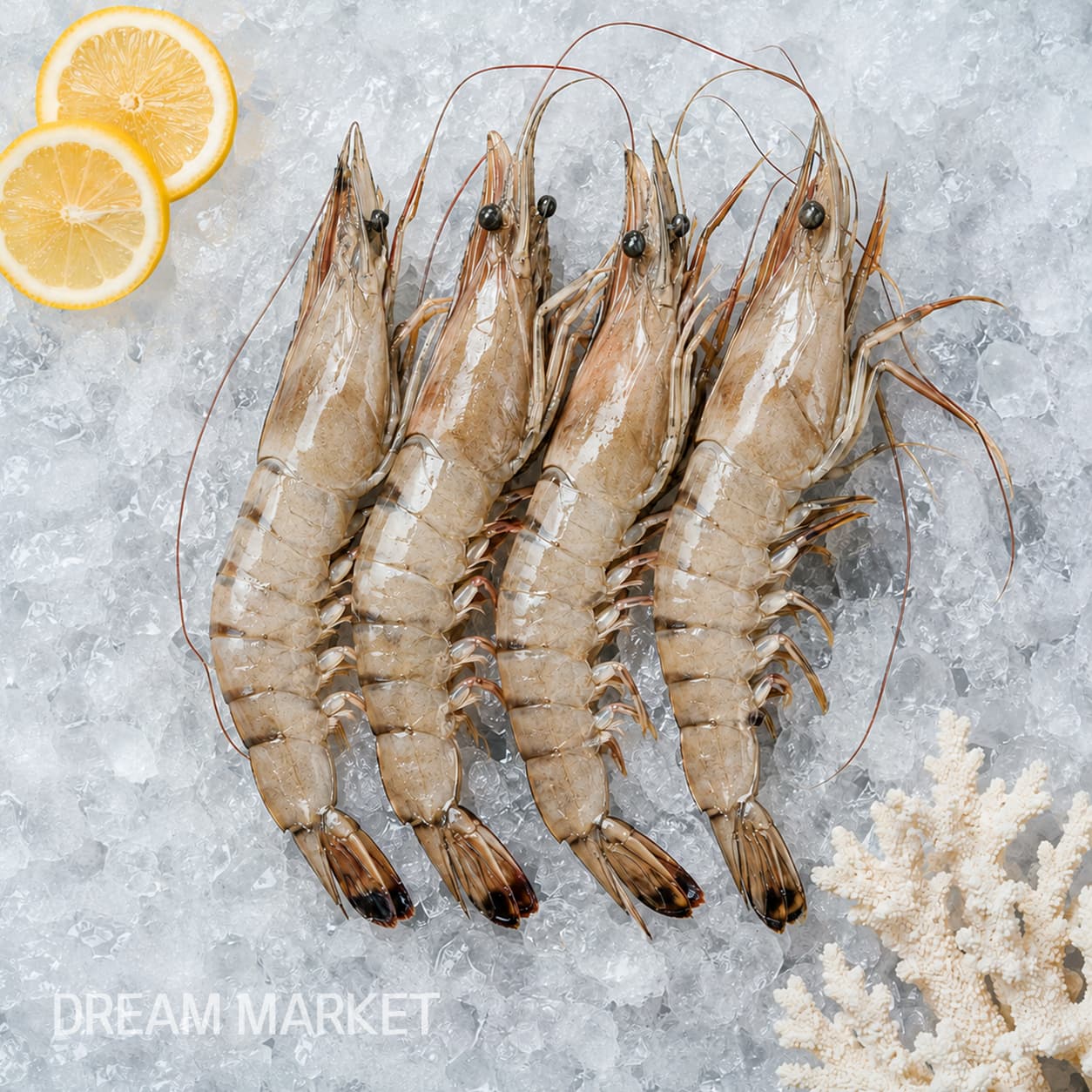 DS Banana prawn(Thawed) / (A)